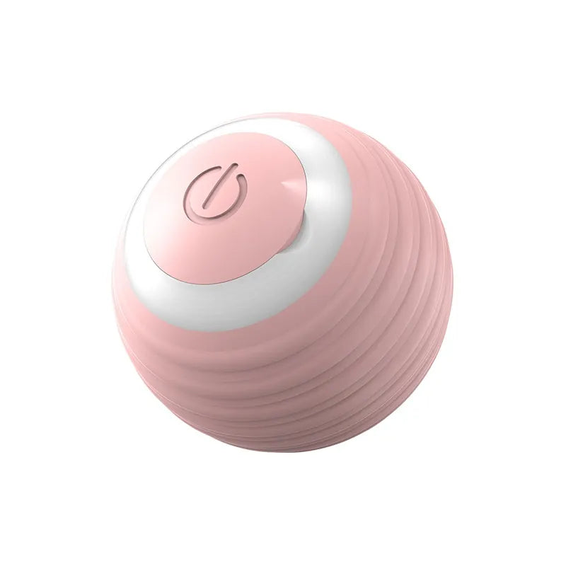 Smart Interactive Pet Ball — Self-Rolling Dog & Cat Toy (USB)