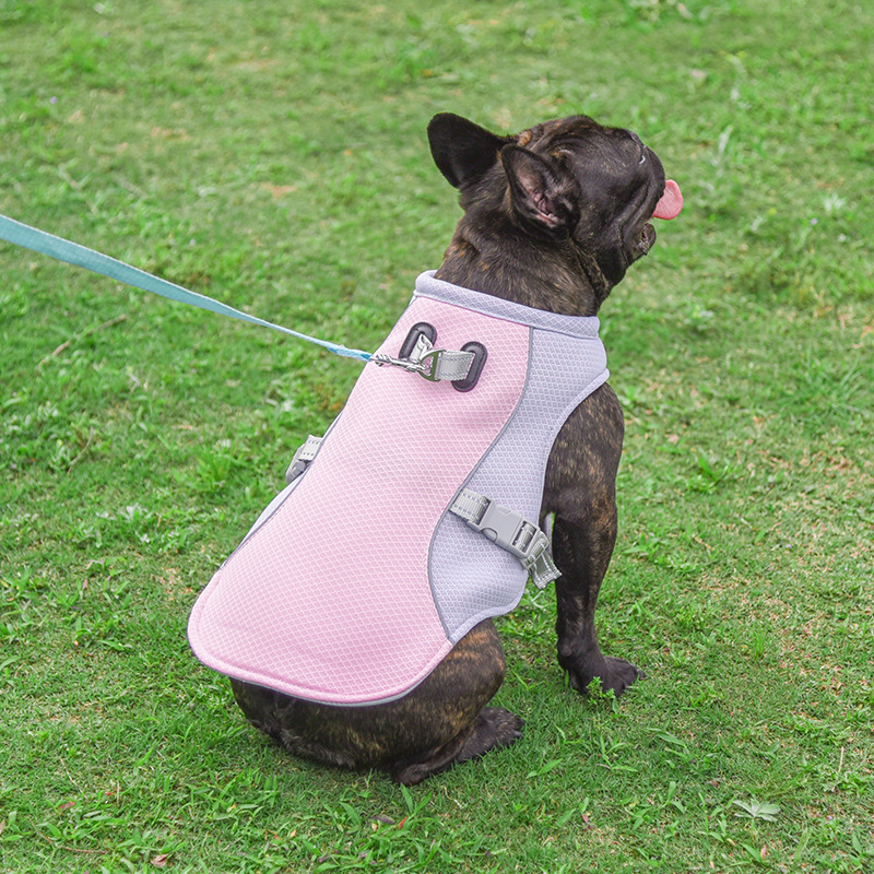 Dog Cooling Vest — Breathable Evaporative Summer Harness