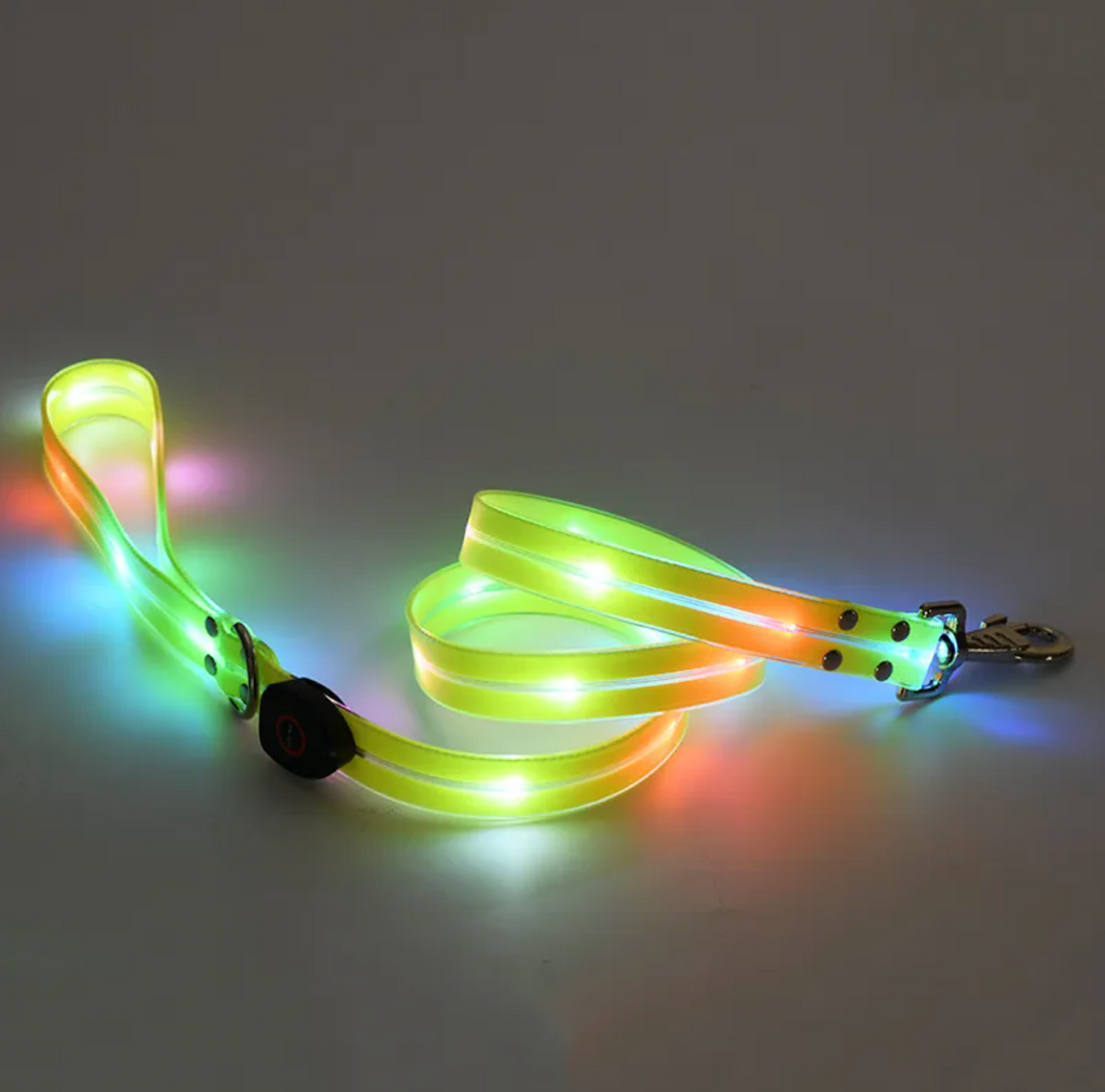 Rechargeable LED Dog Collar & Leash Set