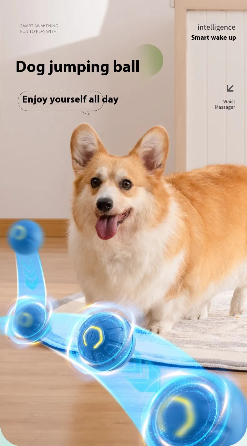 Smart Interactive Pet Ball — Self-Rolling Dog & Cat Toy (USB)