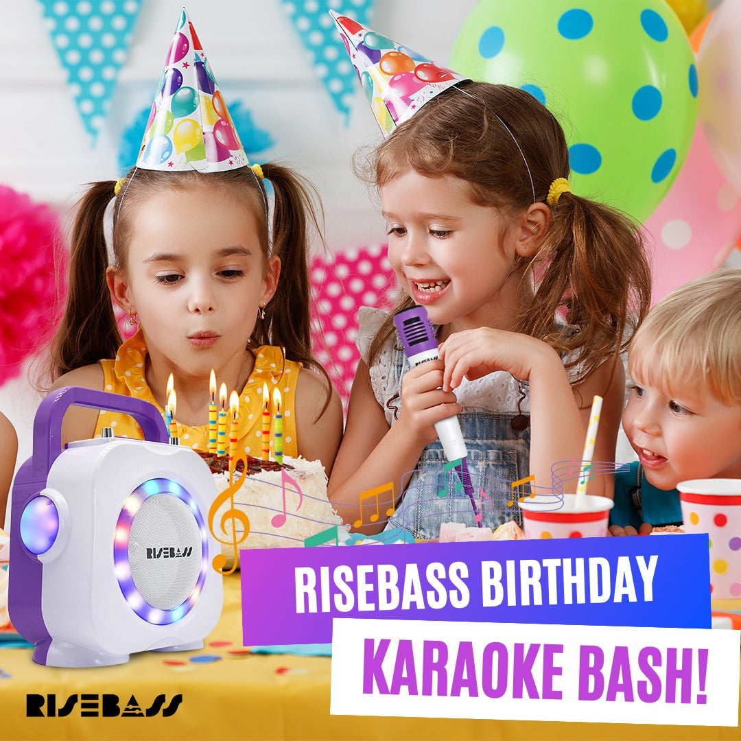 Dual Mic Bluetooth Karaoke Speaker System