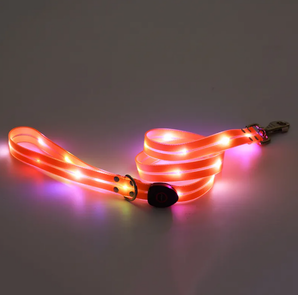 Rechargeable LED Dog Collar & Leash Set