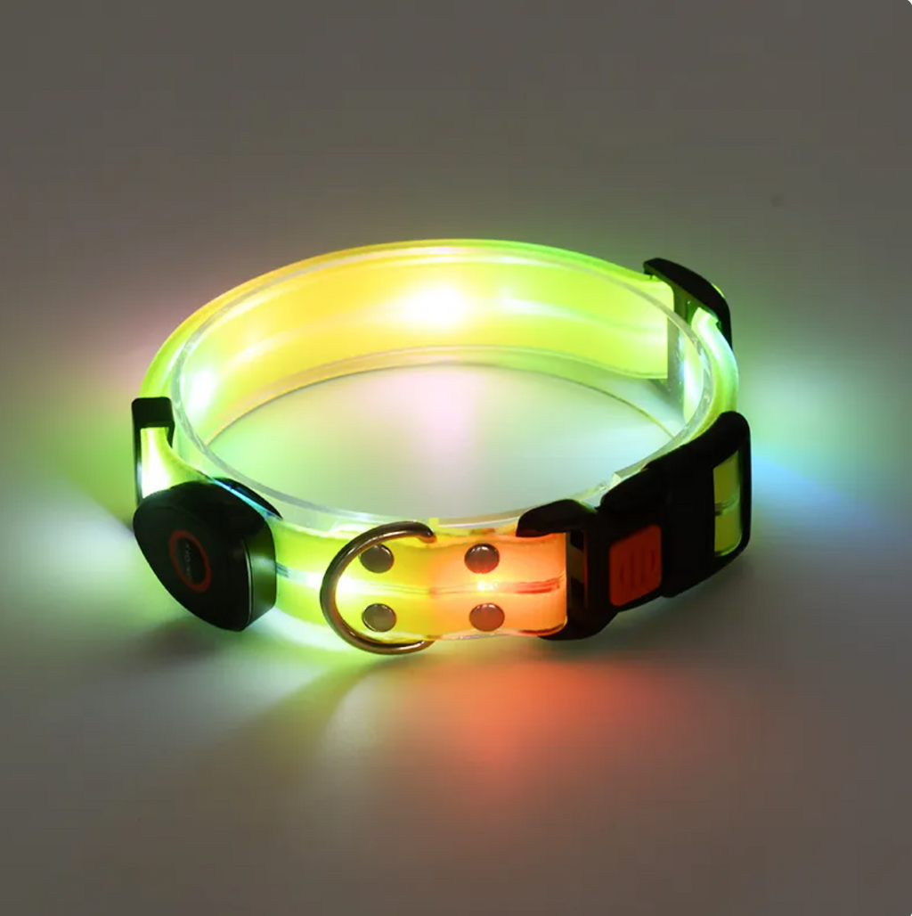 Rechargeable LED Dog Collar & Leash Set