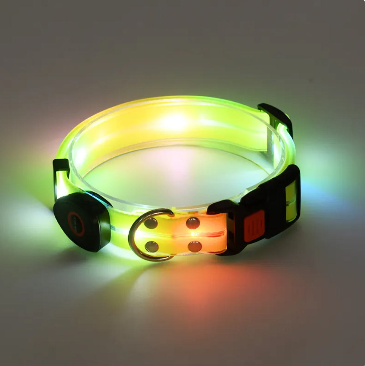 Rechargeable LED Dog Collar & Leash Set