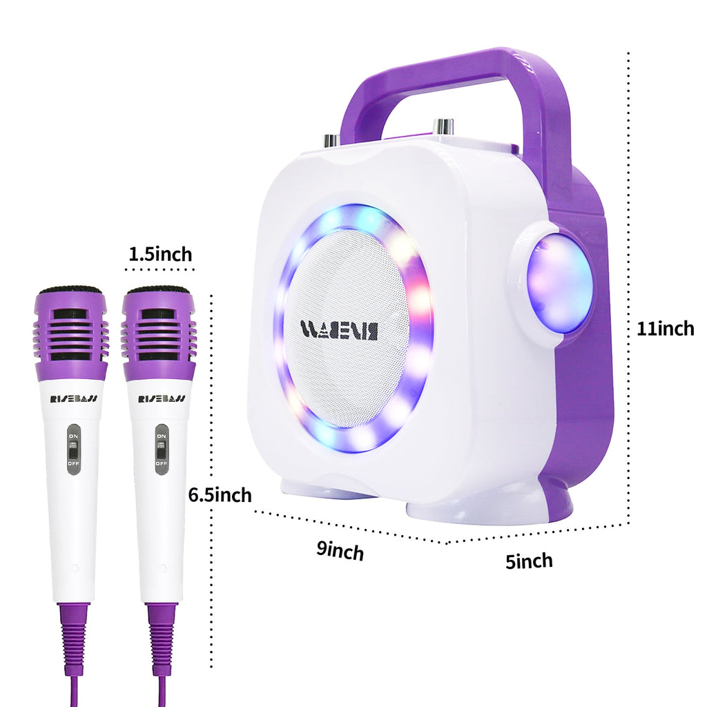Dual Mic Bluetooth Karaoke Speaker System