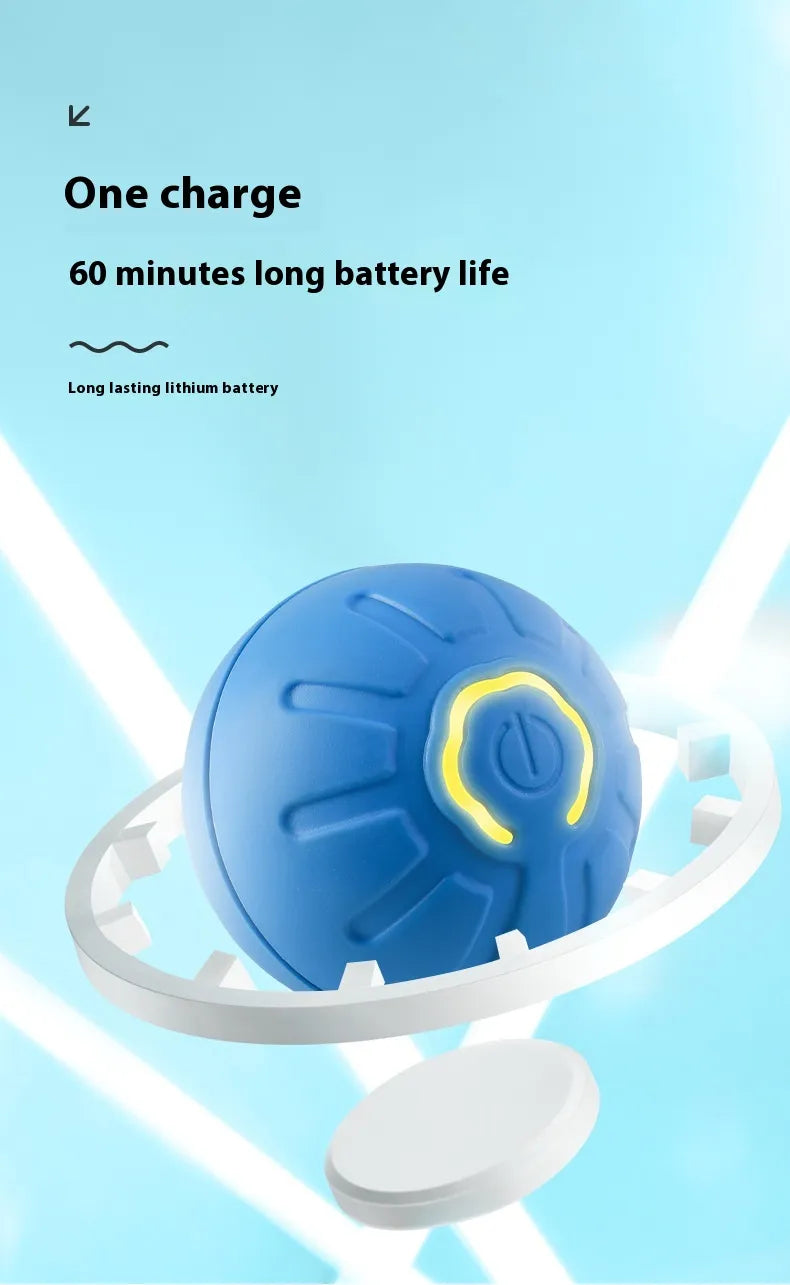 Smart Interactive Pet Ball — Self-Rolling Dog & Cat Toy (USB)