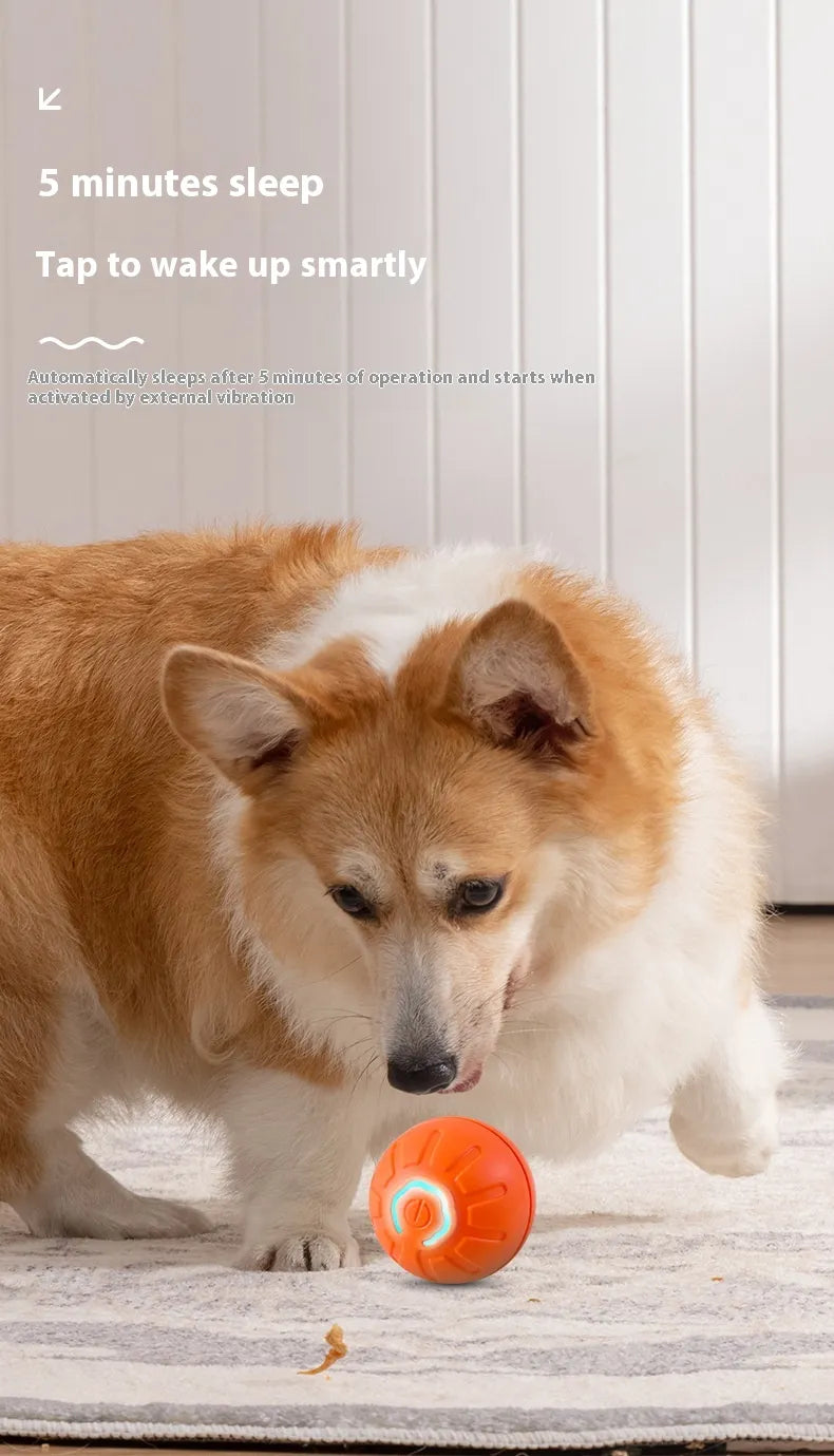 Smart Interactive Pet Ball — Self-Rolling Dog & Cat Toy (USB)