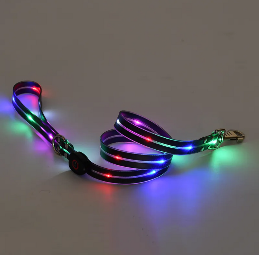 Rechargeable LED Dog Collar & Leash Set