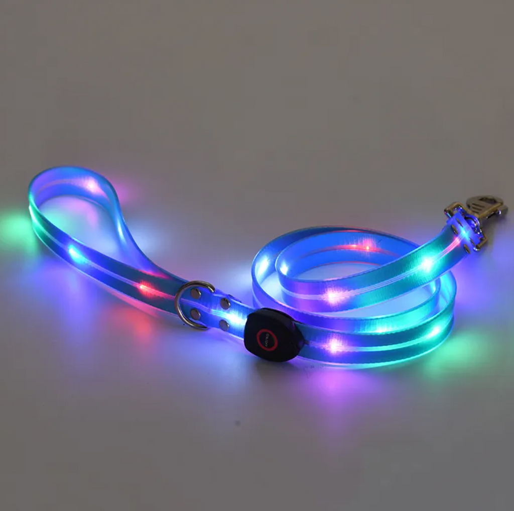 Rechargeable LED Dog Collar & Leash Set