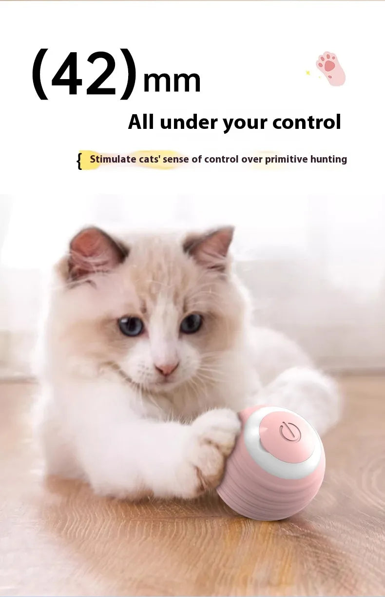 Smart Interactive Pet Ball — Self-Rolling Dog & Cat Toy (USB)