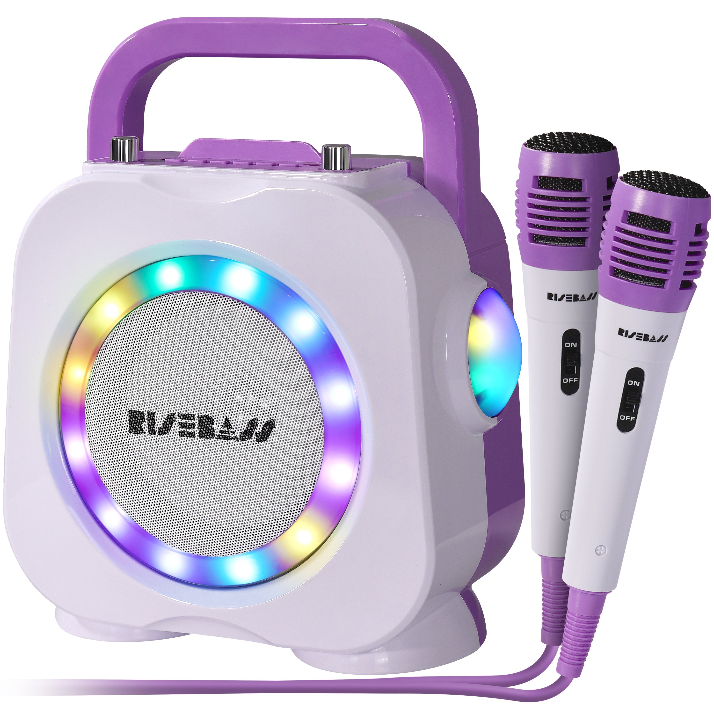 Dual Mic Bluetooth Karaoke Speaker System