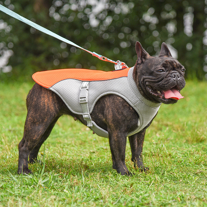 Dog Cooling Vest — Breathable Evaporative Summer Harness