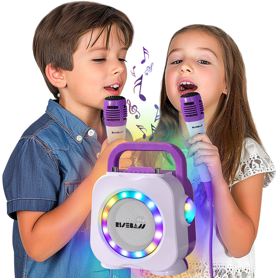 Dual Mic Bluetooth Karaoke Speaker System