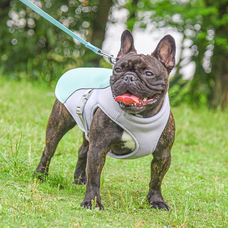 Dog Cooling Vest — Breathable Evaporative Summer Harness