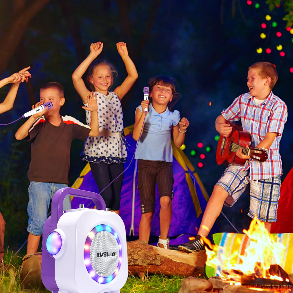Dual Mic Bluetooth Karaoke Speaker System
