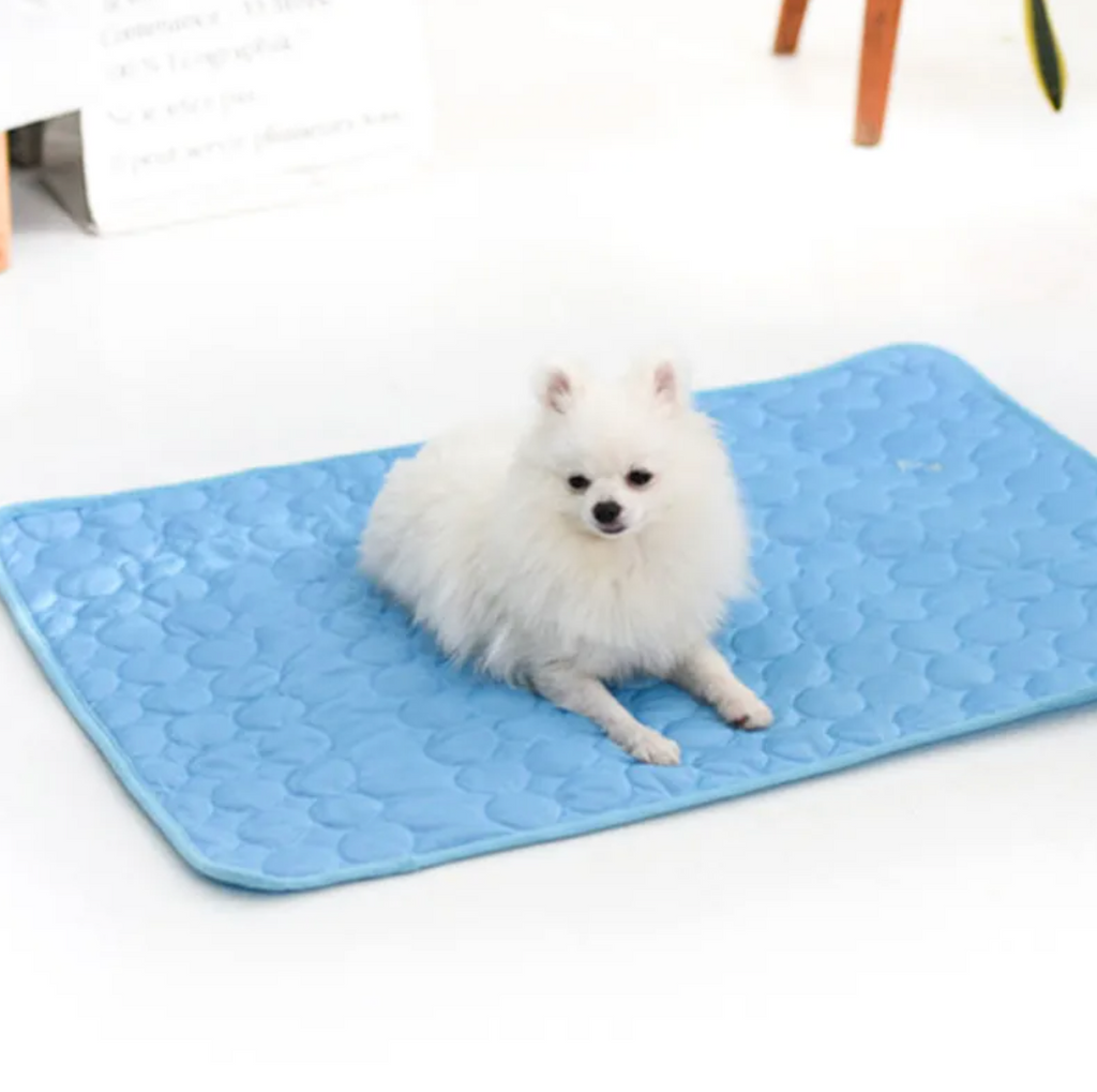 Ice Silk Cooling Mat for Dogs & Cats