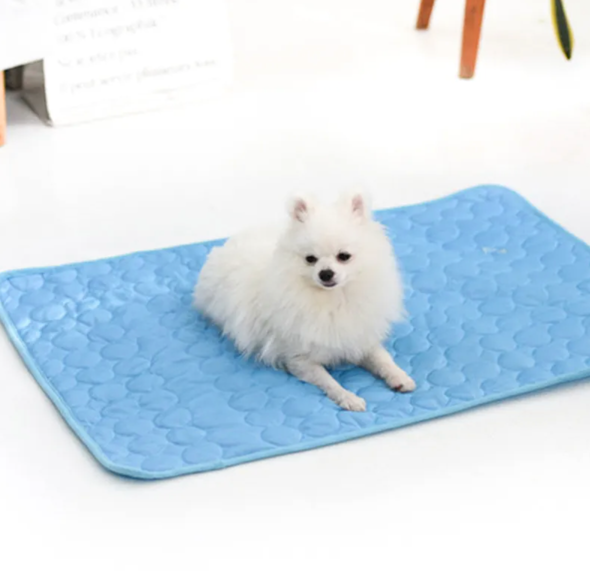 Ice Silk Cooling Mat for Dogs & Cats