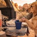 Trail Dog Paw Cleaner Cup — muddy paw going into navy silicone cleaner cup at a trailhead