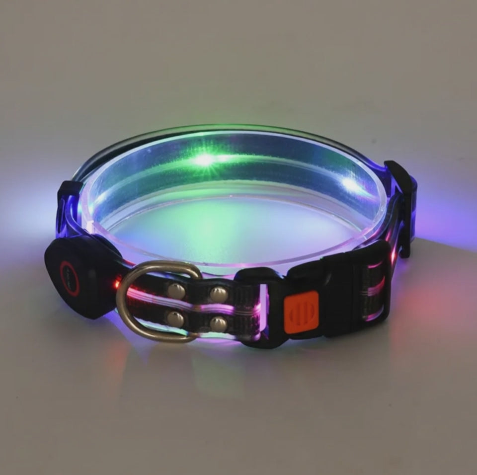 Rechargeable LED Dog Collar & Leash Set