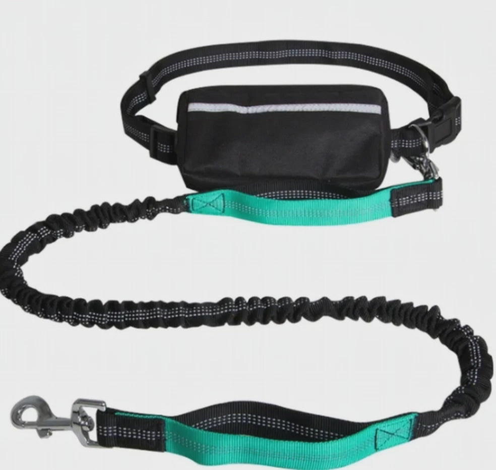Hands-Free Bungee Dog Running Leash (Reflective + Waist Belt)