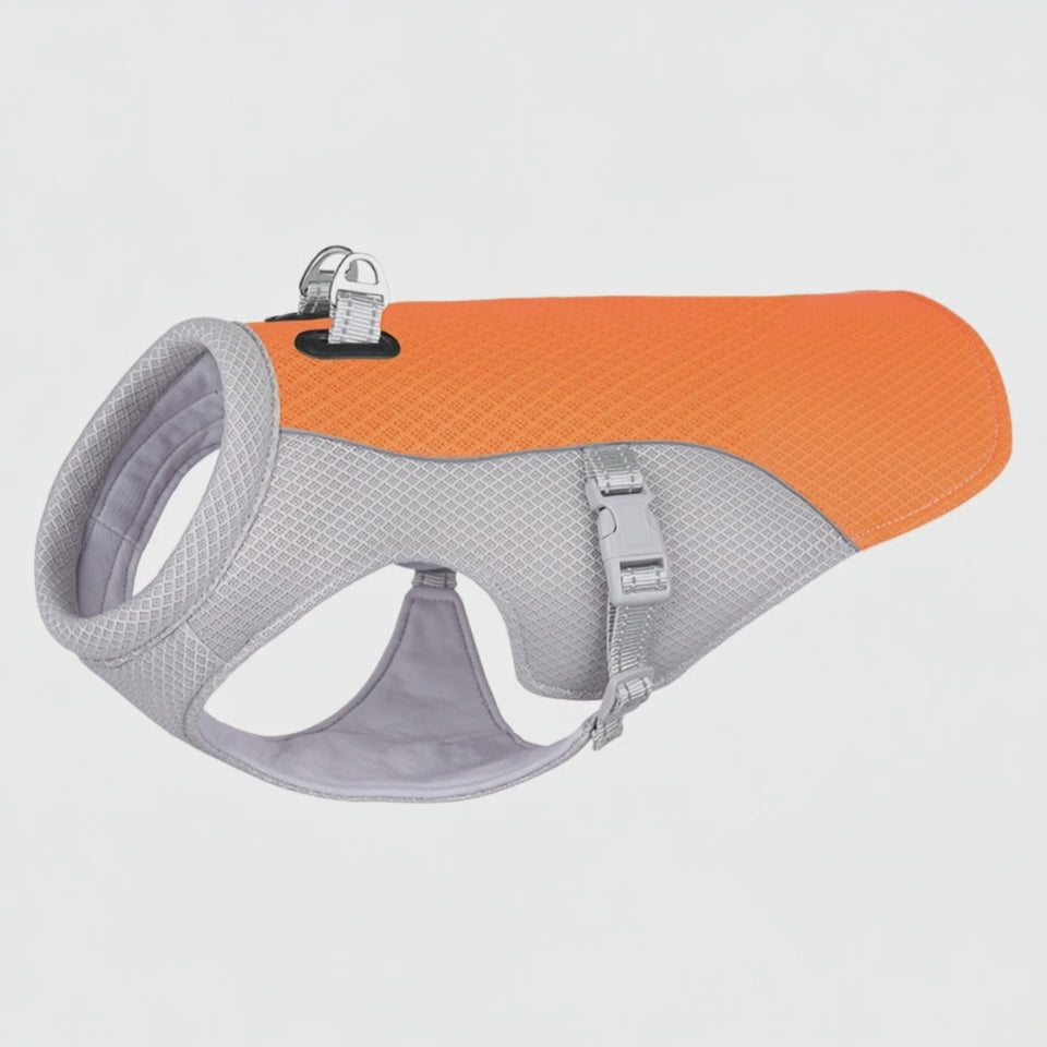 Dog Cooling Vest — Breathable Evaporative Summer Harness