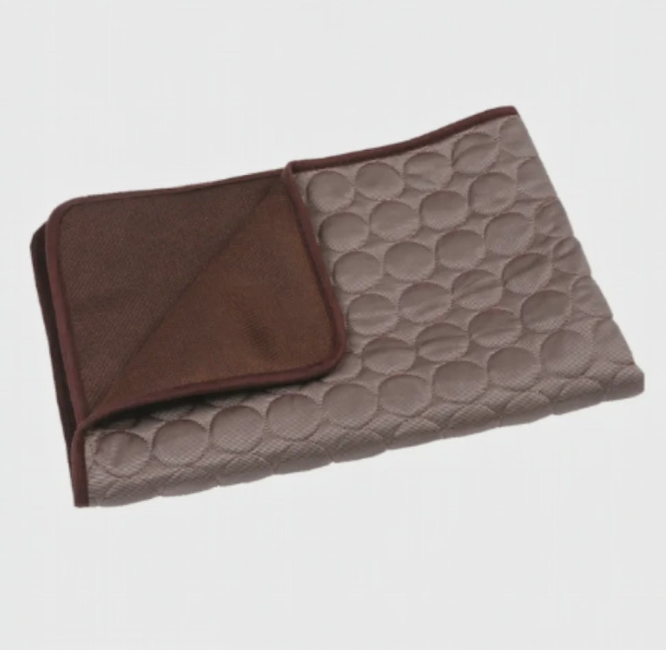 Ice Silk Cooling Mat for Dogs & Cats